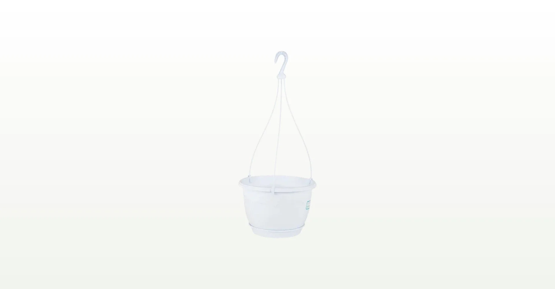 Guide du pot suspendu : plantes retombantes, macramé et fixation