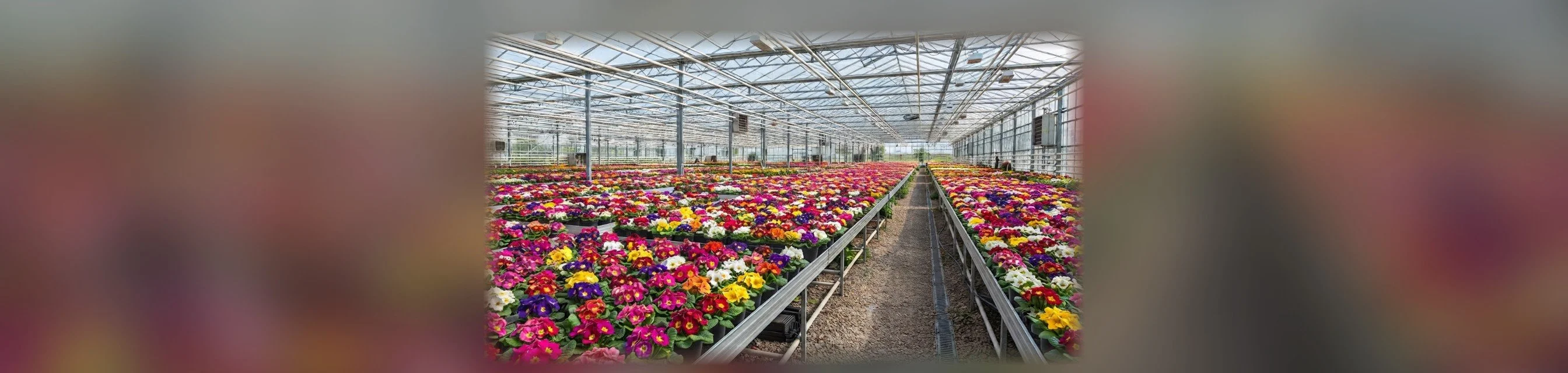 Mevsimlik Çiçek Üretim Saksıları
